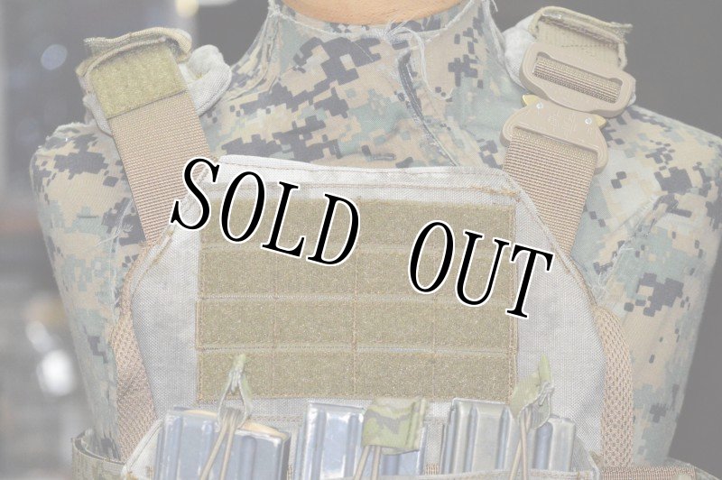 画像5: 海兵隊実物　A-TACS FG オードナンス  プレートキャリア M (5)