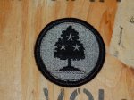 画像1: 米陸軍実物　Tennessee National Guard Joint Force Hq Patch (1)