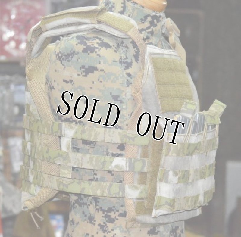 画像2: 海兵隊実物　A-TACS FG オードナンス  プレートキャリア M (2)