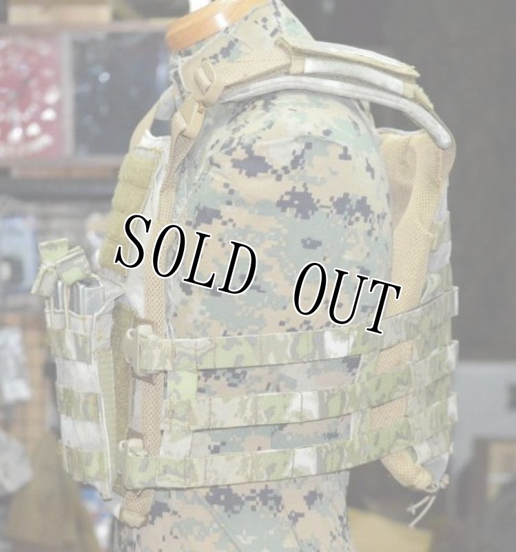 画像4: 海兵隊実物　A-TACS FG オードナンス  プレートキャリア M (4)