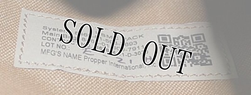 画像8: 海兵隊実物  USMC Pack System FILBE メインパックシステム  (8)