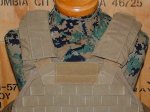 画像5: 海兵隊実物 EAGLE SCALABLE PLATE CARRIER　M (5)