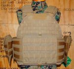 画像1: 海兵隊実物 EAGLE SCALABLE PLATE CARRIER　M (1)