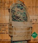 画像4: 海兵隊実物 EAGLE SCALABLE PLATE CARRIER　M (4)