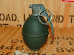 画像3: 米軍実物 RFX55 N3 プラクティス GRENADE (3)