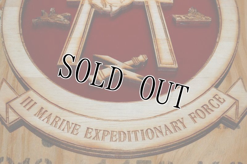 画像5: 米海兵隊放出品  5th ANGLICO (第５航空砲撃連絡中隊） (5)