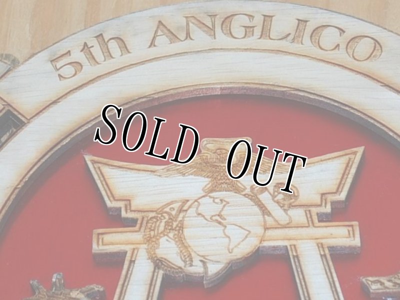 画像2: 米海兵隊放出品  5th ANGLICO (第５航空砲撃連絡中隊） (2)