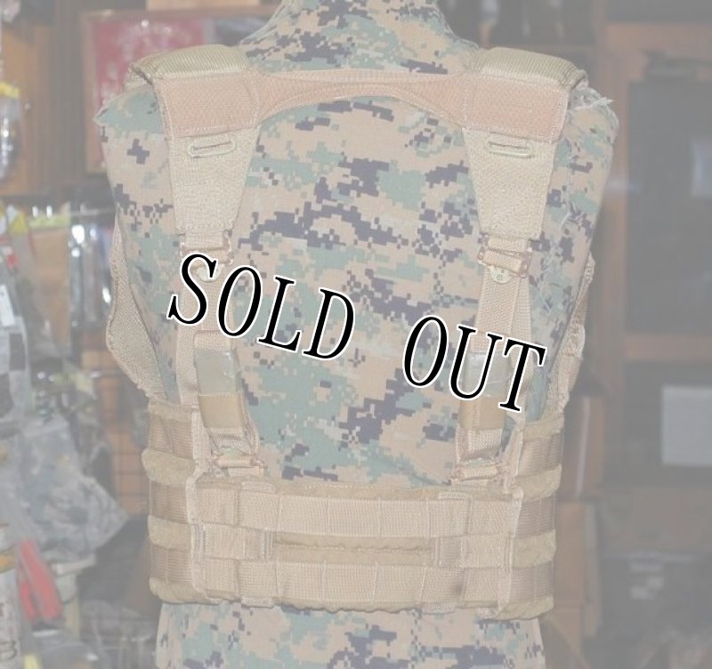 画像3: 米軍実物 Eagle Industries FSBE II FLC Field Load Carrier  (3)