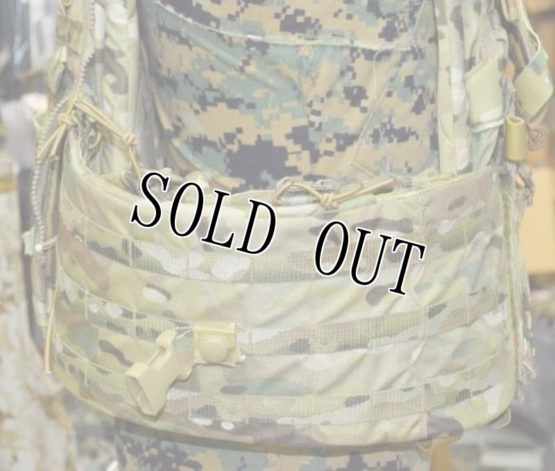 画像8: 希少！米陸軍実物 EAGLE製 SOFLCS SOFBAV AERO  アサルト マルチカム プレートキャリア (8)