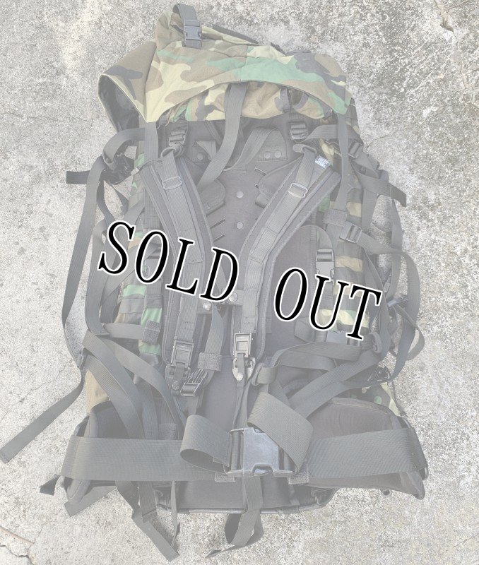 画像3: 米軍実物 特殊部隊 GREGORY グレゴリーバックパック UM21 SPEAR (3)