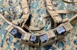 画像3: 米軍特殊部隊放出品 ARES ARMOR製 チェストリグ　MARSOC/SEALS  (3)