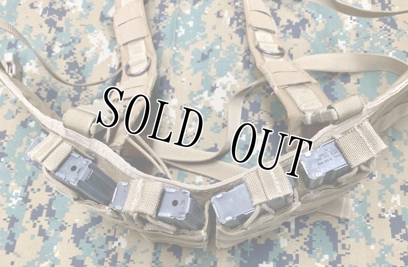 画像3: 米軍特殊部隊放出品 ARES ARMOR製 チェストリグ MARSOC/SEALS  (3)