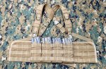 画像1: 米軍特殊部隊放出品 ARES ARMOR製 チェストリグ　MARSOC/SEALS  (1)