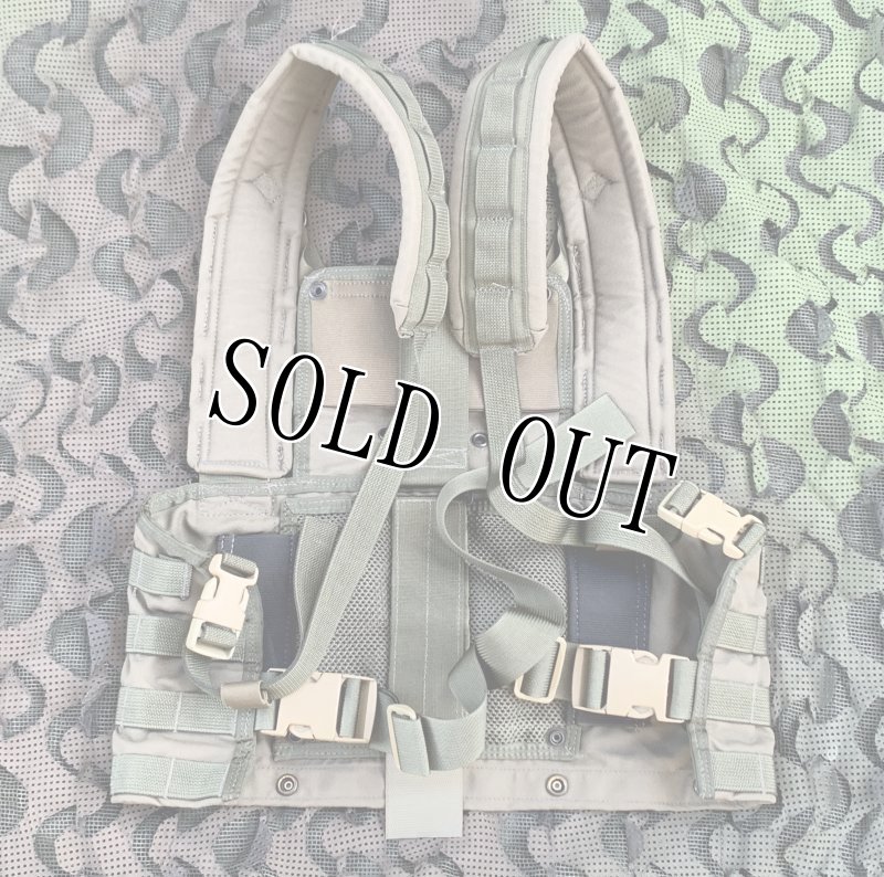 画像9: 激レア!米軍実物 アライド ローデシアン リーコンベスト RLCSキット RG (9)