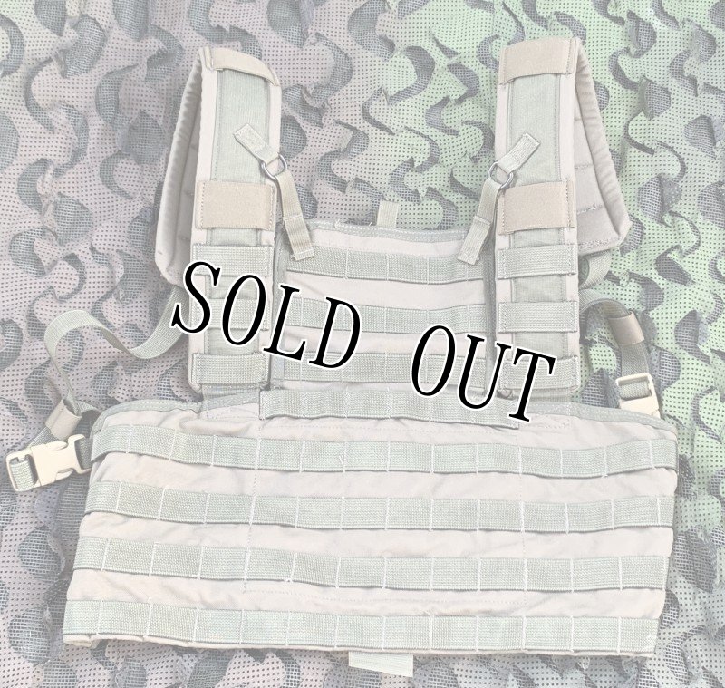 画像3: 激レア!米軍実物 アライド ローデシアン リーコンベスト RLCSキット RG (3)