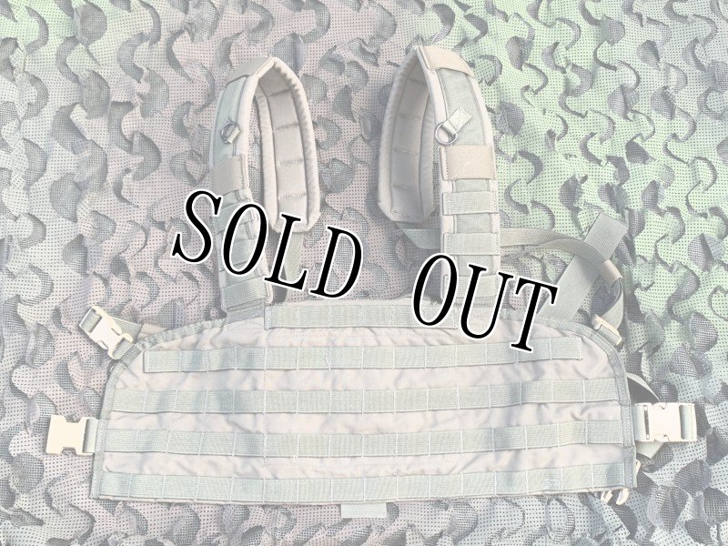 画像2: 激レア!米軍実物 アライド ローデシアン リーコンベスト RLCSキット RG (2)