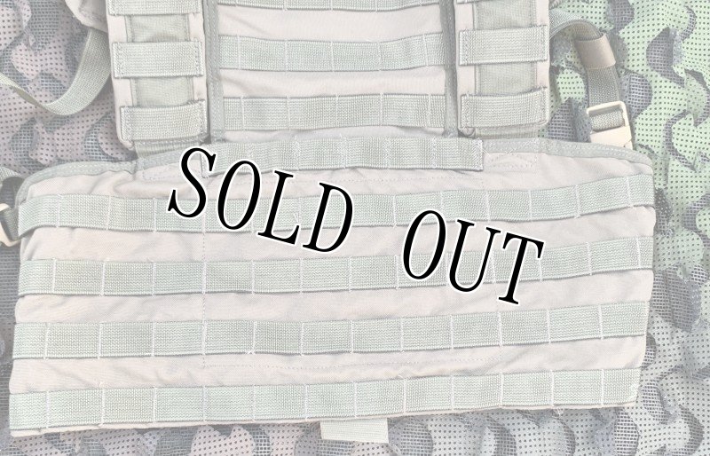 画像4: 激レア!米軍実物 アライド ローデシアン リーコンベスト RLCSキット RG (4)