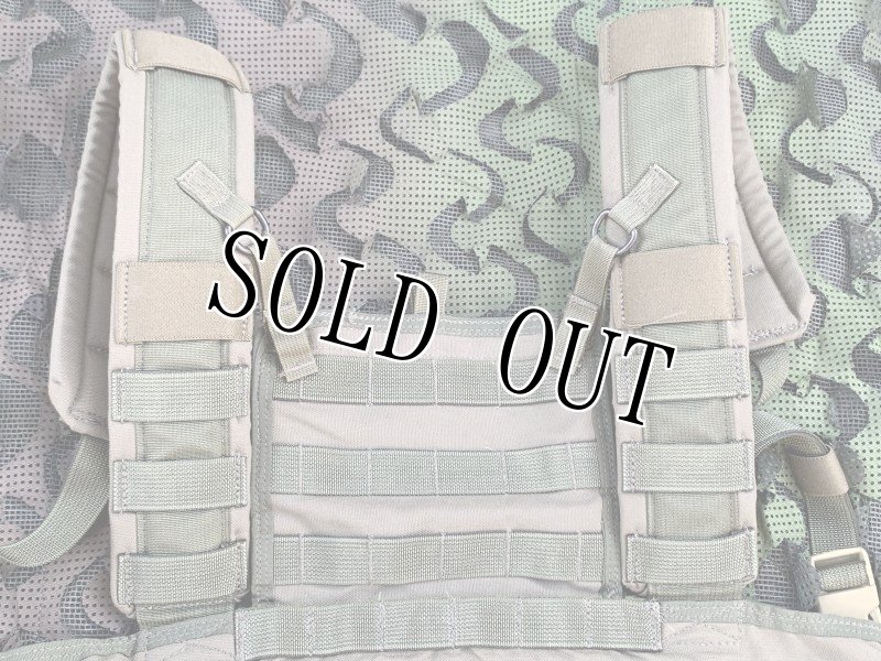 画像5: 激レア!米軍実物 アライド ローデシアン リーコンベスト RLCSキット RG (5)