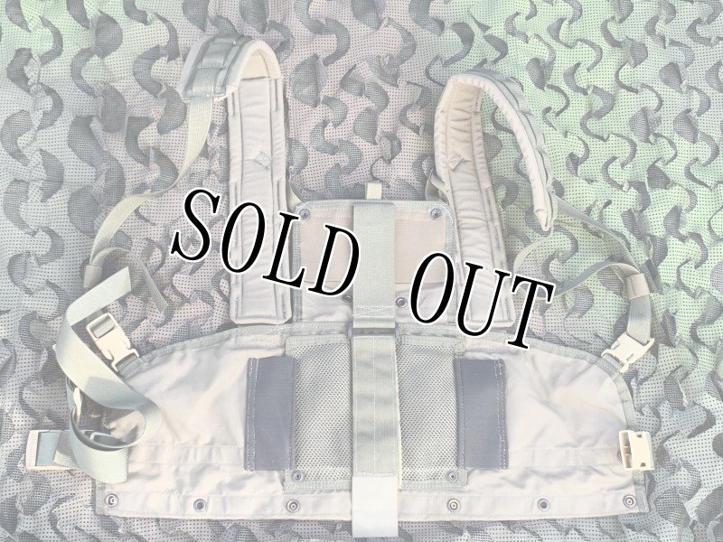 画像8: 激レア!米軍実物 アライド ローデシアン リーコンベスト RLCSキット RG (8)