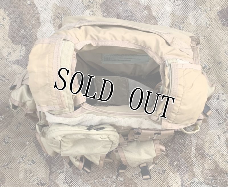 画像4: 希少!米軍実物 PRE-MSA PARACLETE RAV PLATE CARRIER デザートタン (4)