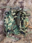 画像2: 米軍実物 ウッドランド MOLLE パトロールパック  (2)