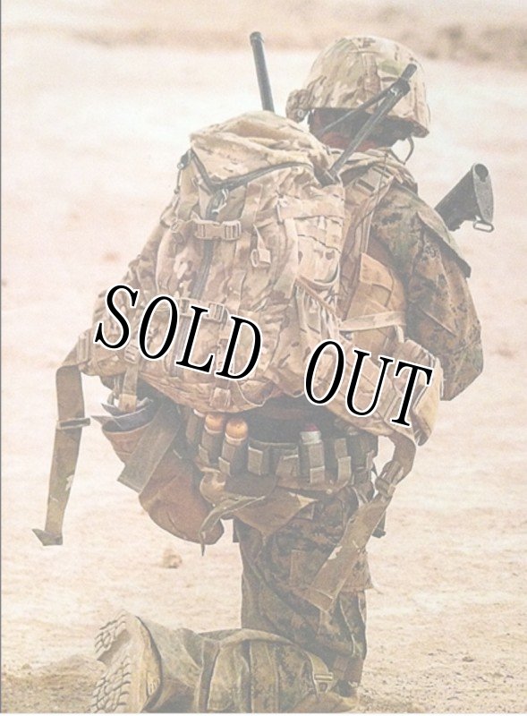 画像15: 米軍実物  MYSTERY RANCH    3 DAY ASSAULT BVS  MULTICAM (15)