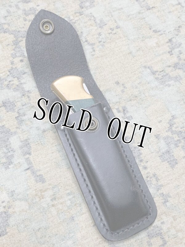 画像7: 米軍放出品　BUCK(バック)S30V フォールディングハンター 110 (7)