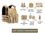 画像18: 米軍実物　CRYE PRECISIONM AVS MBAV   アサルト・コンフィギュレーション・プレートキャリア (18)