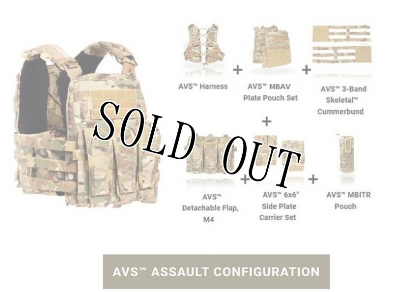 画像18: 米軍実物　CRYE PRECISIONM AVS MBAV   アサルト・コンフィギュレーション・プレートキャリア (18)