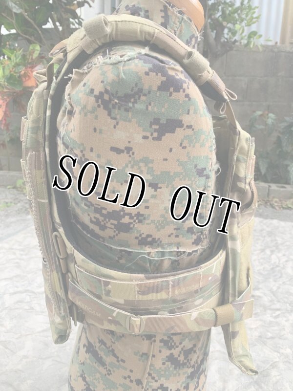 画像5: 激レア 米軍実物　CRYE PRECISIONM   アダプティブベストシステム フルセット (5)