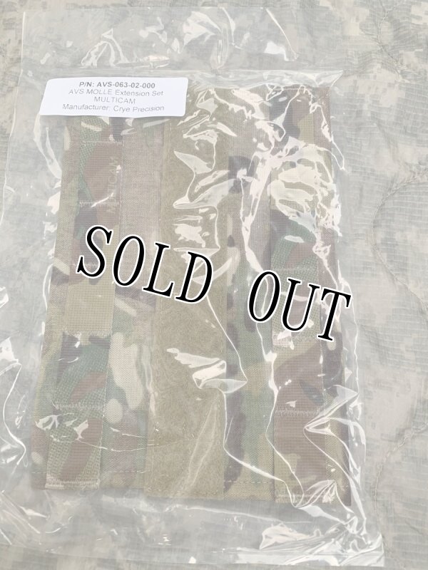 画像10: 激レア 米軍実物 CRYE PRECISIONM   アダプティブベストシステム フルセット (10)