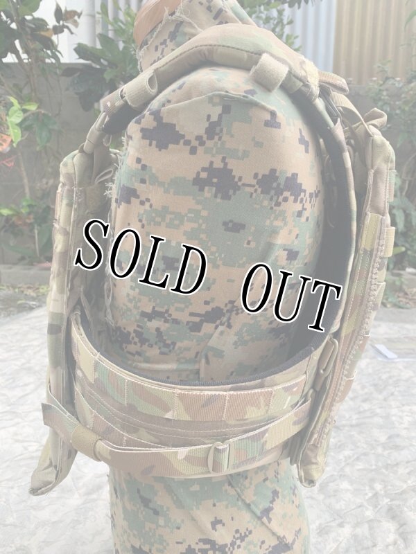 画像3: 激レア 米軍実物　CRYE PRECISIONM   アダプティブベストシステム フルセット (3)