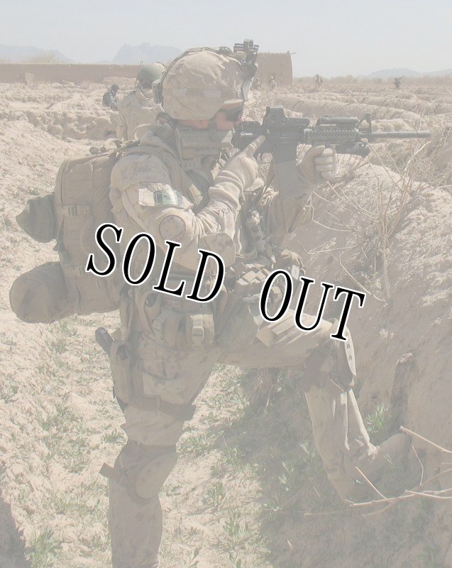 画像14: 米軍実物  CTOMS 2NDLINE MAIN PACK   メディカル バックパック (14)