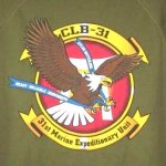 画像4: 米軍実物 US MARINE CLB-31　Tシャツ (4)