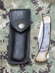 画像1: 米軍放出品　BUCK(バック) フォールディングハンター 110 (1)