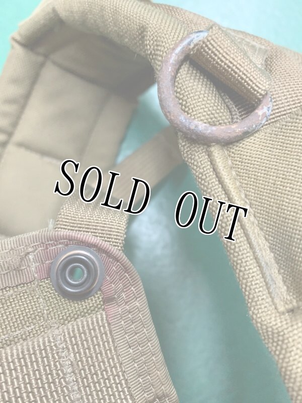 画像9: 海兵隊実物 MARSOC RRV ローデシアン リーコンベスト コヨーテ   (9)