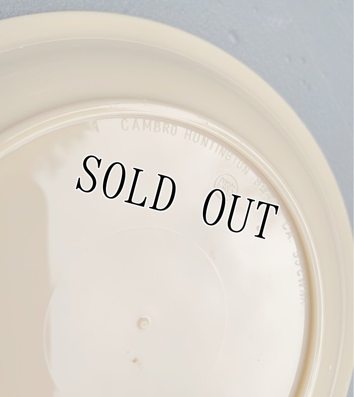 画像3: 米軍放出品  CAMBRO HUNTINGTON PLATE ミリタリープレート (3)