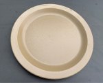 画像1: 米軍放出品  CAMBRO HUNTINGTON PLATE ミリタリープレート (1)