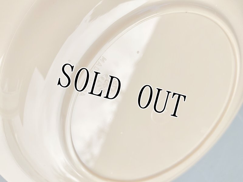 画像4: 米軍放出品  CAMBRO HUNTINGTON PLATE ミリタリープレート (4)