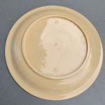 画像2: 米軍放出品  CAMBRO HUNTINGTON PLATE ミリタリープレート (2)