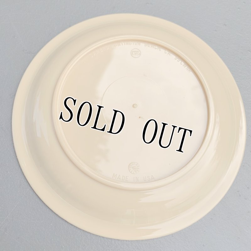 画像2: 米軍放出品  CAMBRO HUNTINGTON PLATE ミリタリープレート (2)