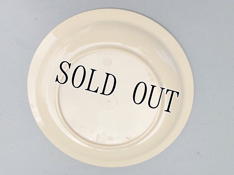 画像2: 米軍放出品  CAMBRO HUNTINGTON PLATE ミリタリープレート (2)