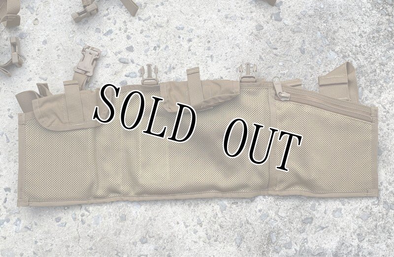 画像5: 米軍実物 USMC チェストリグ コヨーテ 海兵隊 mcpc imtv  (5)