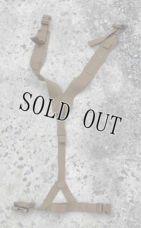 画像6: 米軍実物 USMC チェストリグ コヨーテ 海兵隊 mcpc imtv  (6)