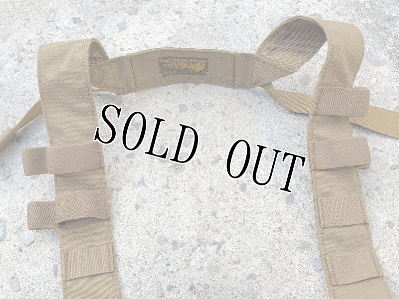 画像10: 海兵隊実物 オードナンス リーコン チェストリグ コヨーテ (10)