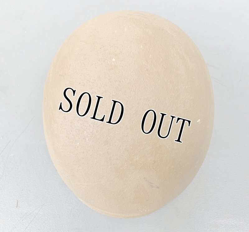 画像14: 海兵隊実物 USMC LWH ライトウェイト  ヘルメット M (14)