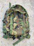 画像1: 米軍実物 MOLLE パトロールパック (1)