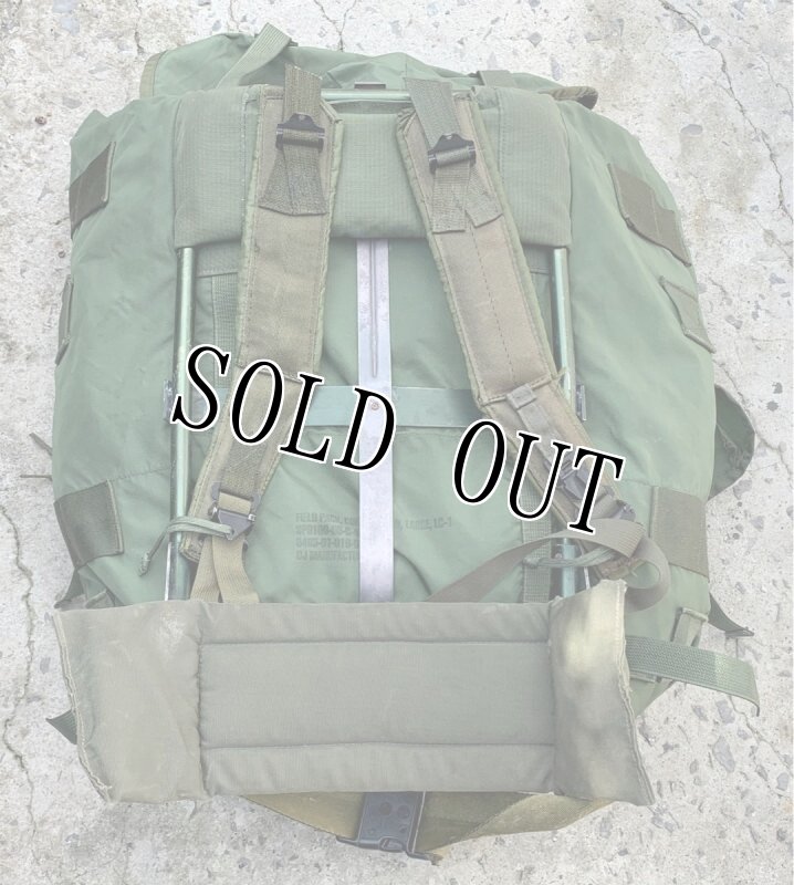 画像3: 米海兵隊放出品 実物 LC-1 L アリスバッグ フレームセット ピクセルカスタム (3)