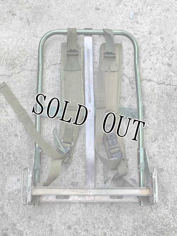 画像11: 米海兵隊放出品 実物 LC-1 L アリスバッグ フレームセット ピクセルカスタム (11)