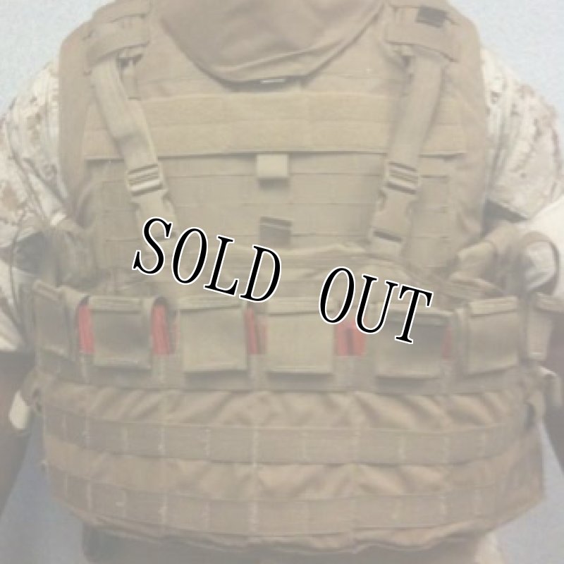 画像18: 米軍実物 USMC チェストリグ コヨーテ 海兵隊 SPC MTV FSBE PC IMTV    (18)